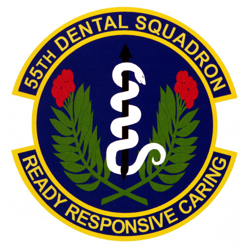 55th Dental Squadron Patch