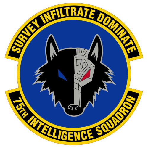 75th Intelligence Squadron Patch
