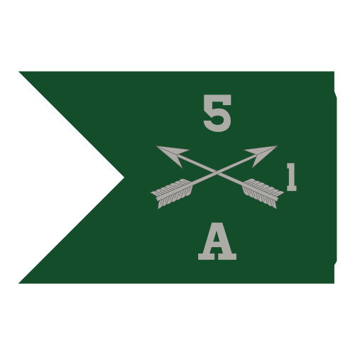 Reverse Image of Guidon, US Army Patch