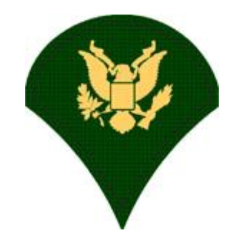 Specialist E-4 (SP4) U.S. Army Enlisted (Grade Insignia) Patch