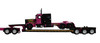 60-2139 - Loewen Farms 389 w/Renegade & 359 Load