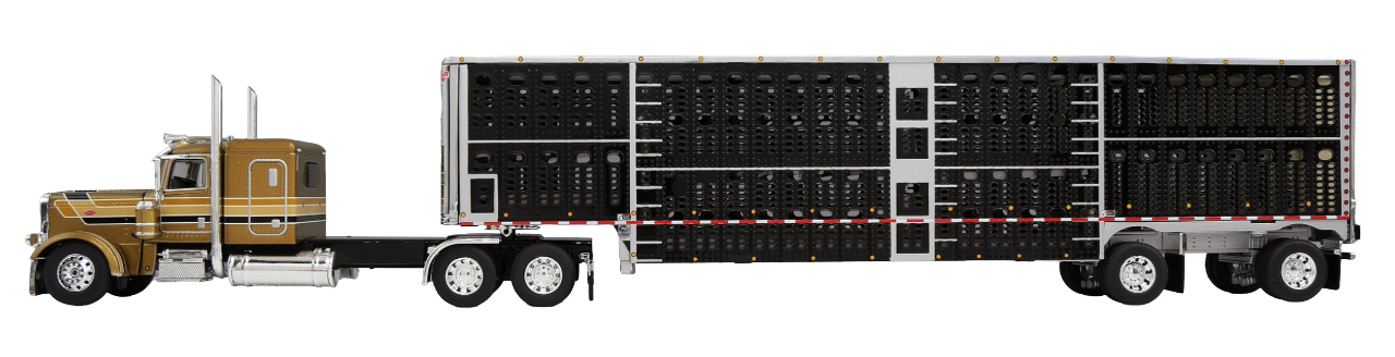 DCP 60-2243 Gold & Black Peterbilt Model 389 48" Flat Top Sleeper with Black Sided Wilson Spread Axle Livestock Trailer