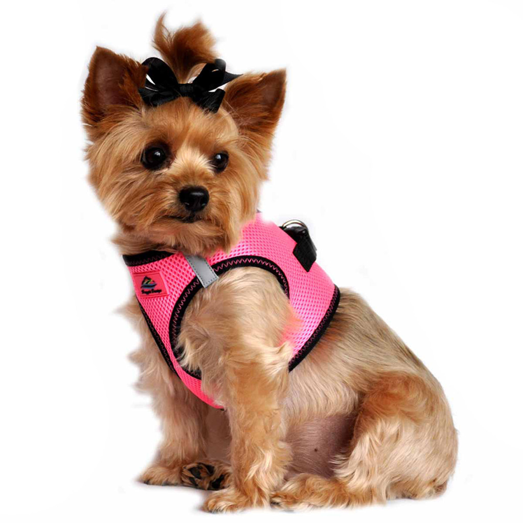 American River Dog Harness Top Stitch Collection - Iridescent Pink