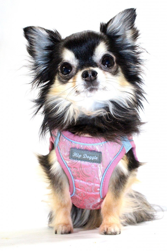 EZ Reflective Royal Elegance Harness Vest - Pink