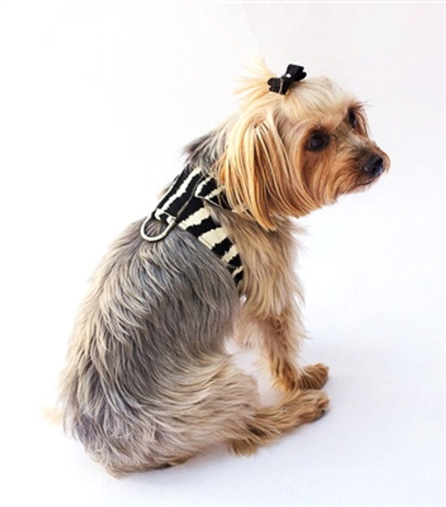 Zebra Hollywood Quick Release Ultra Suede Harness