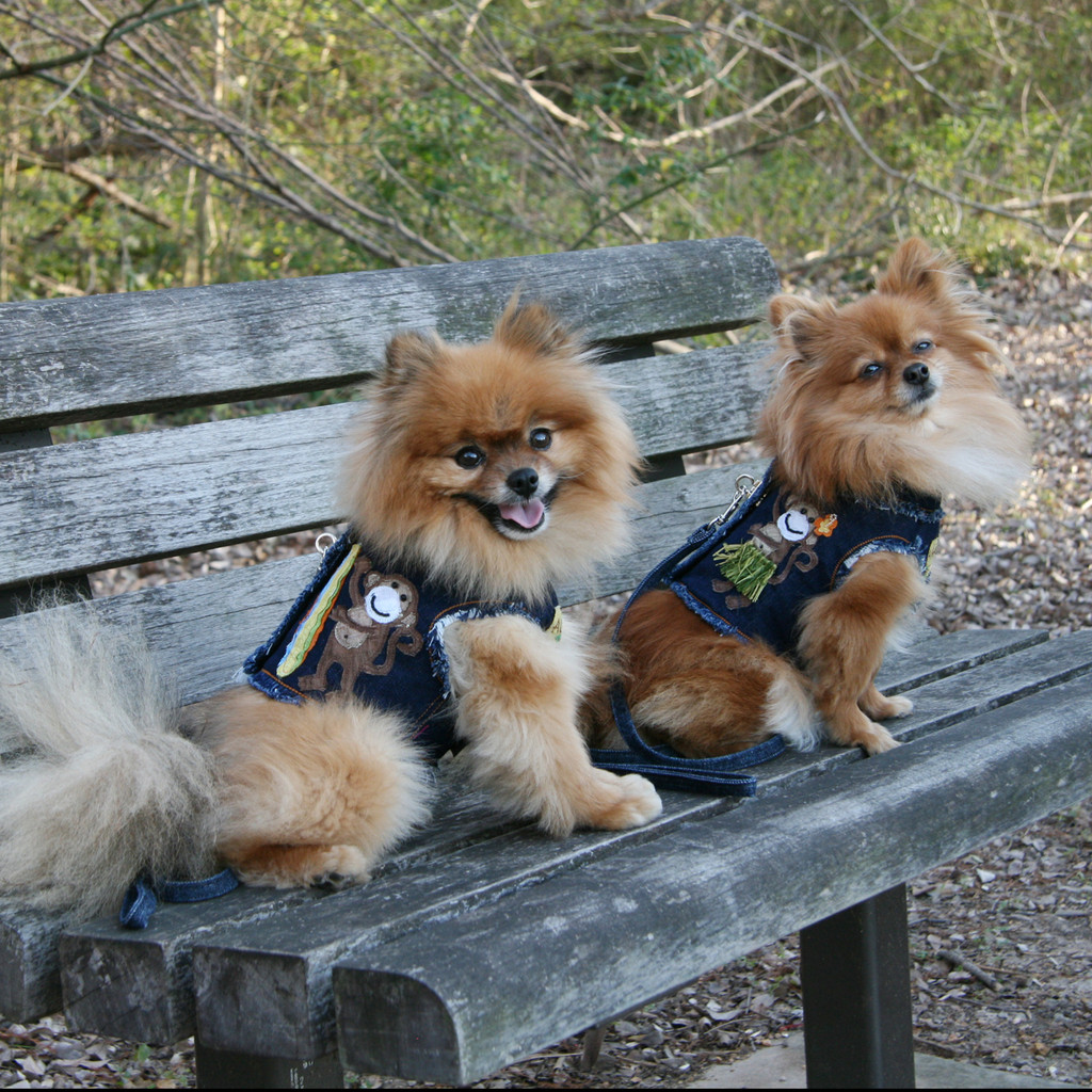 The Lahaina Collection Surfer Monkey Denim Harness Vest