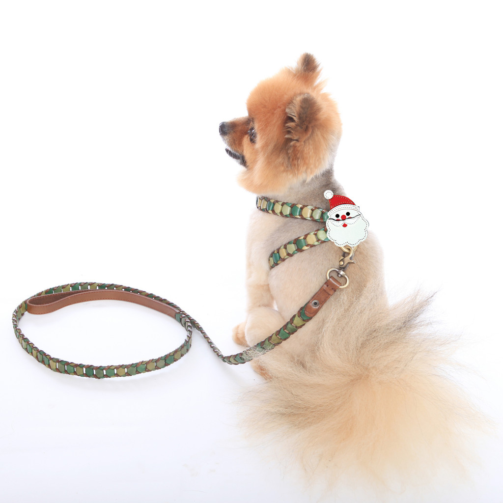 Shades of Green Leather Dog Harness with Santa Attachment