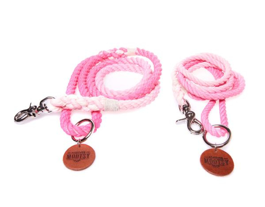 Petal Pink Ombré Dog Leash