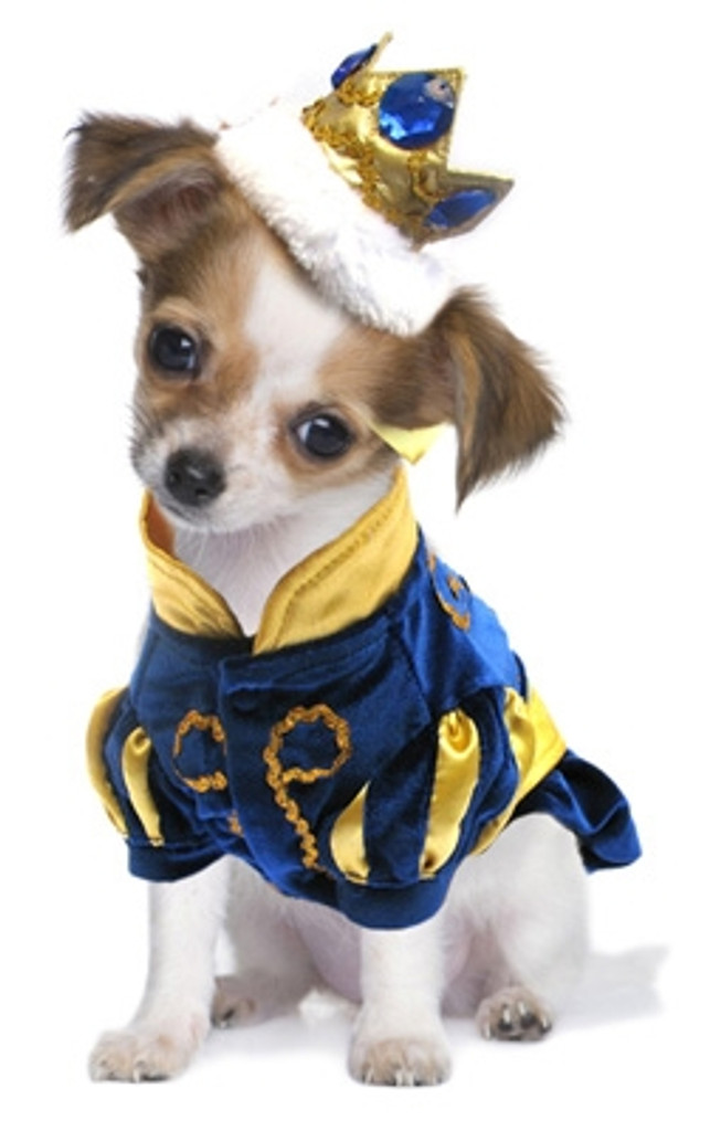 Prince Charming Costume