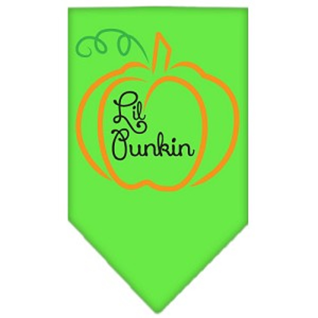 Lil Punkin Screen Print Bandana