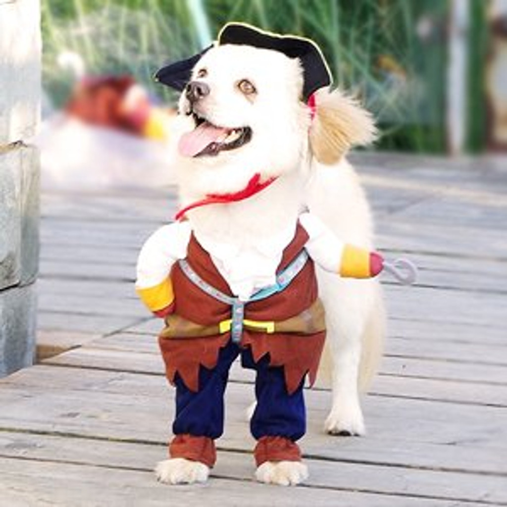 Pirates of the Caribbean Pet Dog Costume