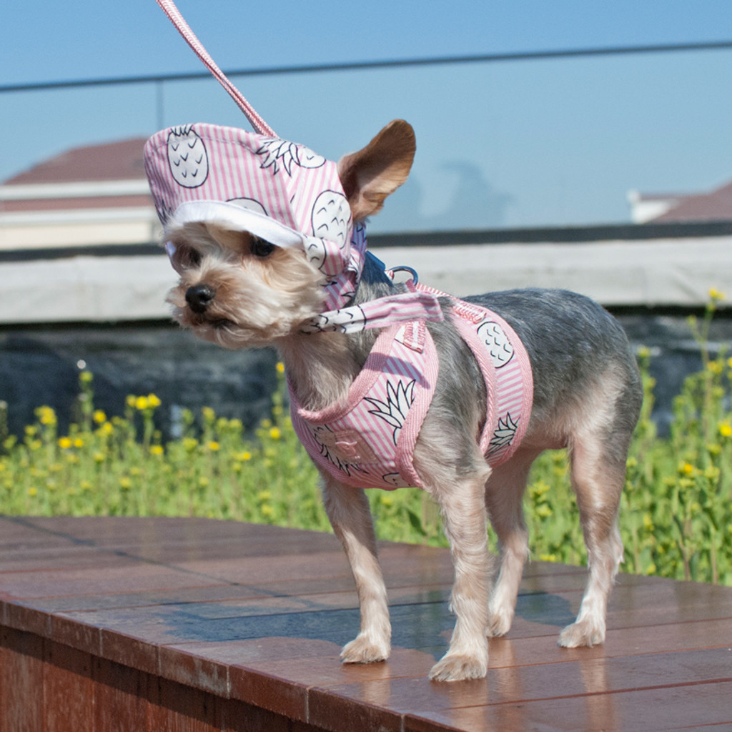 EasyGO Pineapple Pink Harness