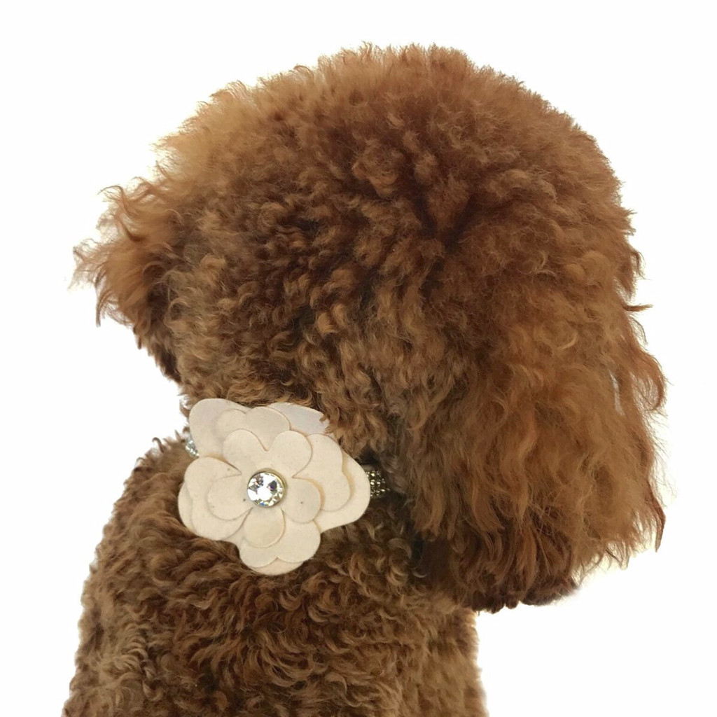 Blush Dog Collar Flower Slider