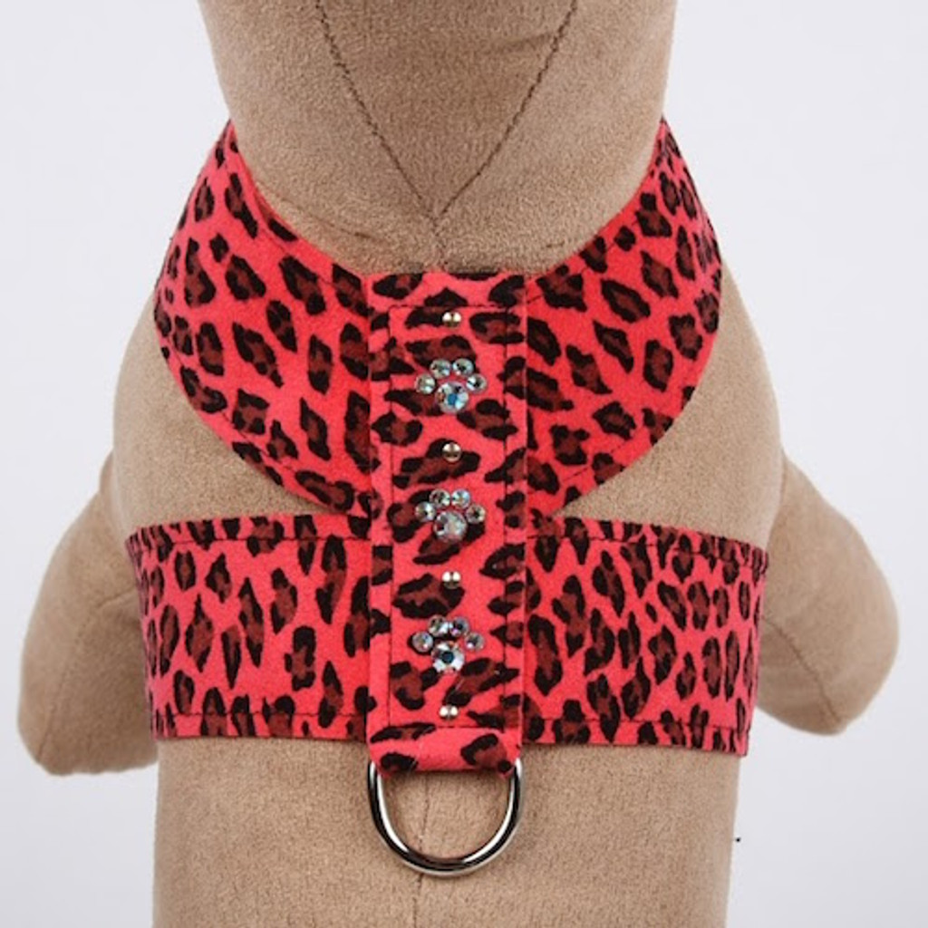 Crystal Paws Tinkie Harness Mango Cheetah Couture