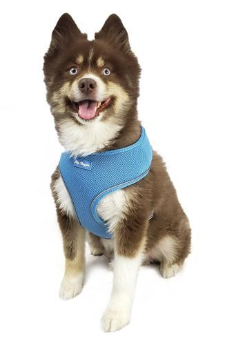 Ultra Comfort Mesh Harness - Sky Blue