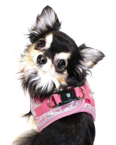 EZ Reflective Royal Elegance Harness Vest - Pink