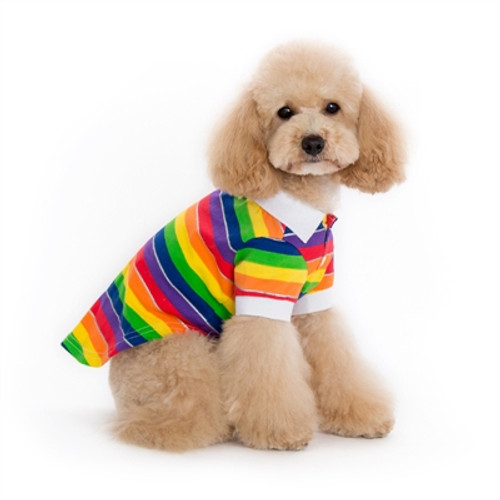 Rainbow Polo Shirt