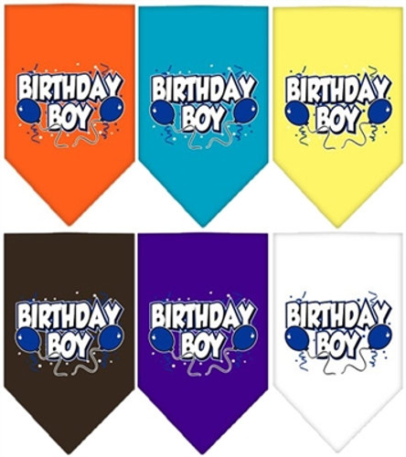 Birthday Boy Screen Print Bandana