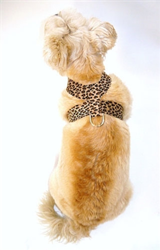 Brown Leopard Hollywood Quick Release Ultra Suede Harness