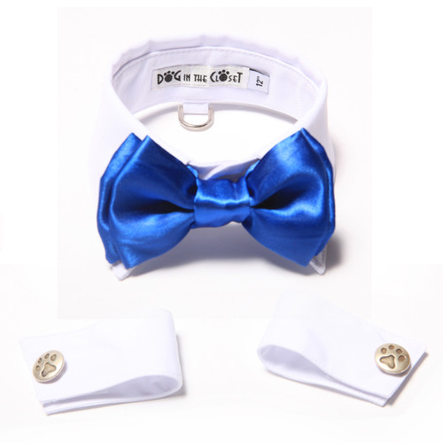White Shirt Dog Collar with Royal Blue Bow Tie