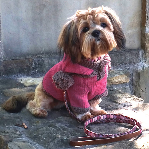 The Taylor - Pink Hand Knit Dog Hoodie
