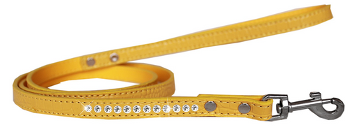 Clear Jewel Croc Leash - 4 FT