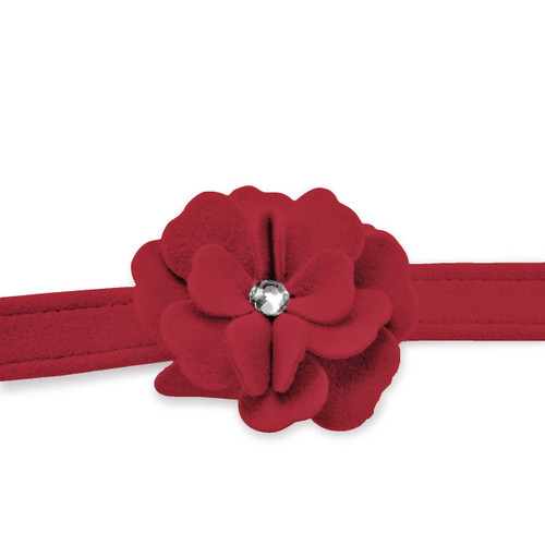 Garden Flower Red Leash 2