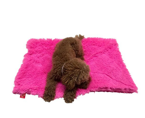 Blanket, Powder Puff in Hot Pink Small