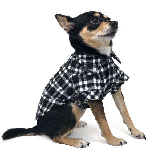 DOGO Flannel Button Down Shirt Black