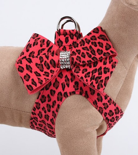 Nouveau Bow Mango Cheetah Couture Step-In Harness