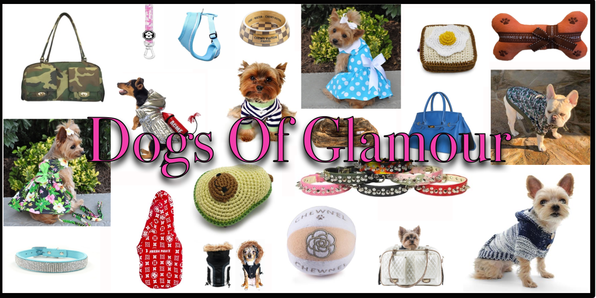 Posh Pet Glamour Boutique, Designer Dog Clothes & Luxury Dog Boutique