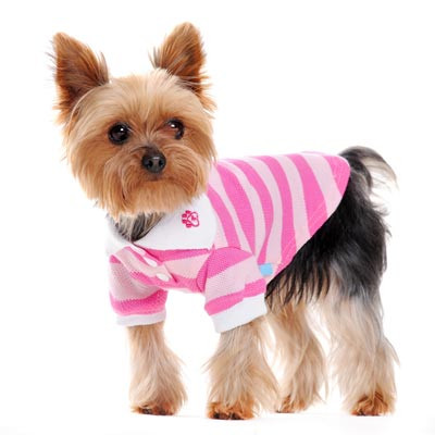 Dogo Dog Stripe Polo Shirt Pink - Free Shipping