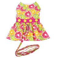 Citrus Slice Dog Dress with Matching Leash