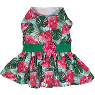 Juicy Watermelon Dog Dress with Matching Leash