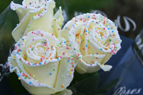 1 Dozen Birthday Cake Roses with Rainbow Sprinkles