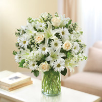 All White Beautiful Moments