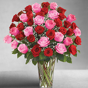 Ultimate Elegance 4 Dozen Long Stem Pink and Red Roses