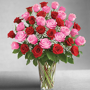 Ultimate Elegance 3 Dozen Long Stem Pink and Red Roses