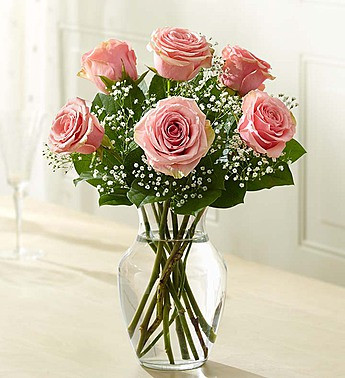 6 Stems Pink Love's Embrace Roses