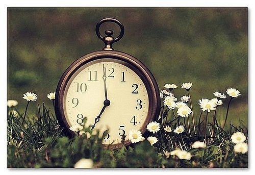 Guaranteed Delivery Before Noon