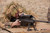 Precision Long Range Shooting Mat, Coyote Brown View 1