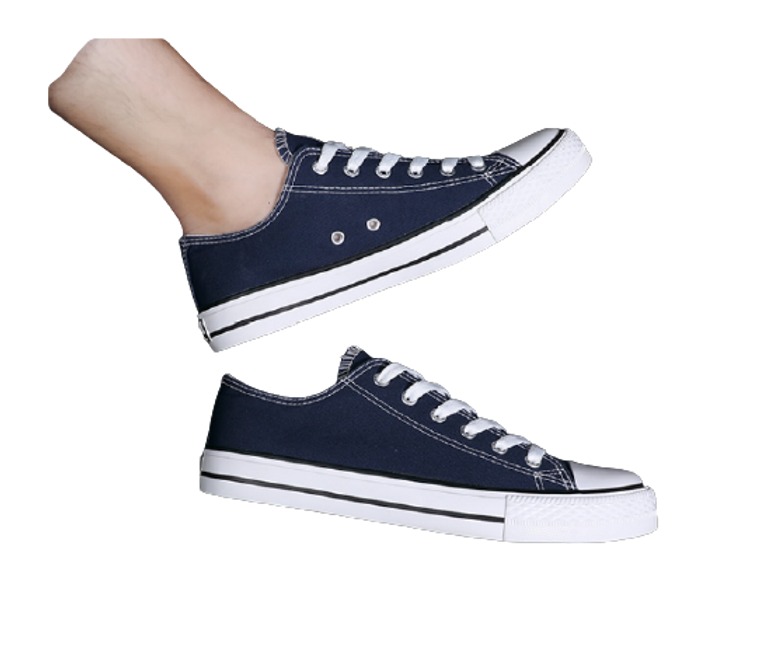 Lace-up Front Canvas Shoes XV0069