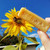 Beeswax