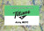 Arsenal Technical High School  Army JROTC School Guidon Arsenal Technical High School  Army JROTC School Guidon