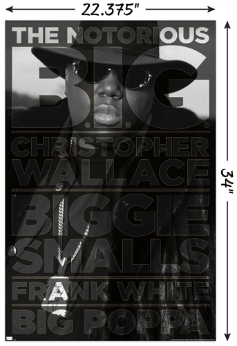 Notorious B.I.G. - AKA Poster - 22.375