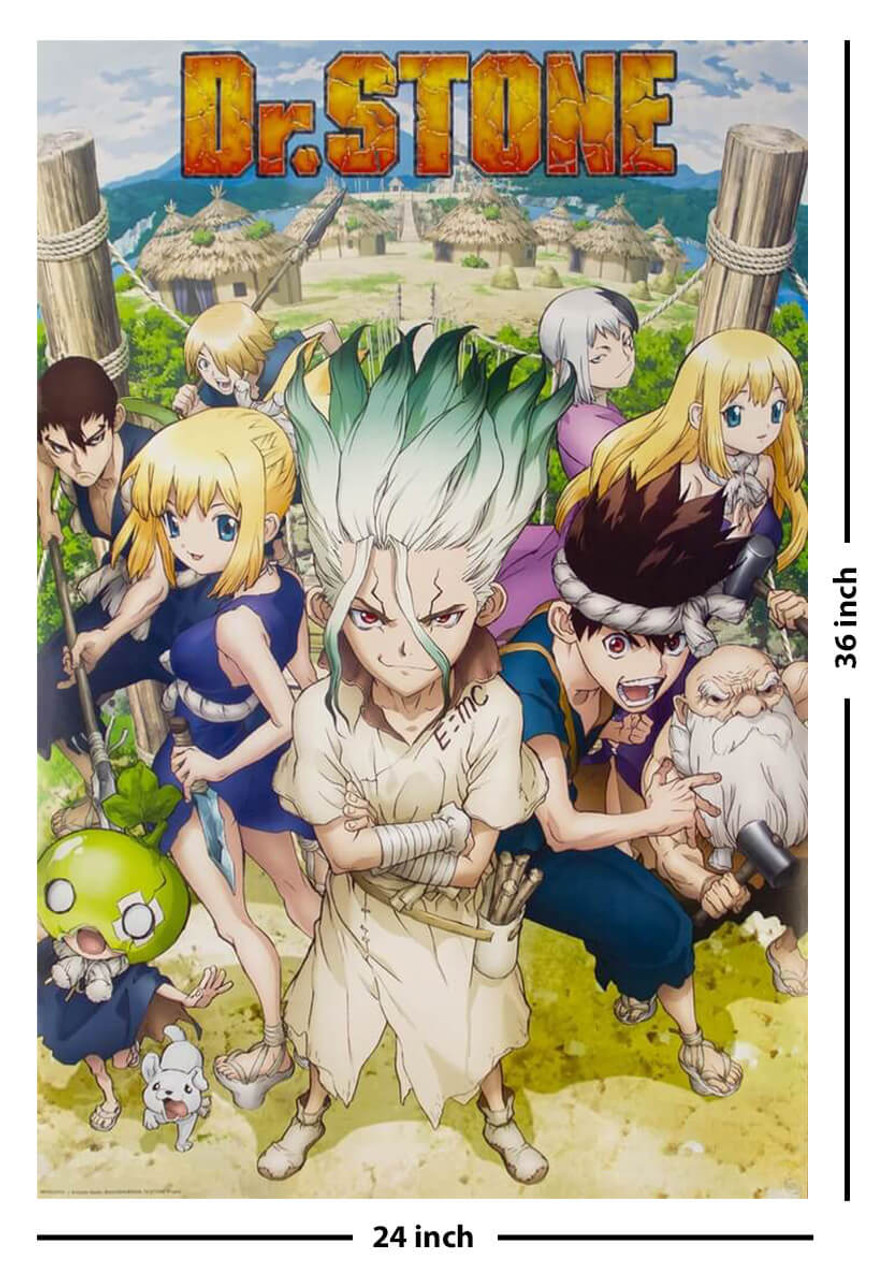 Dr. Stone Group Poster - 24