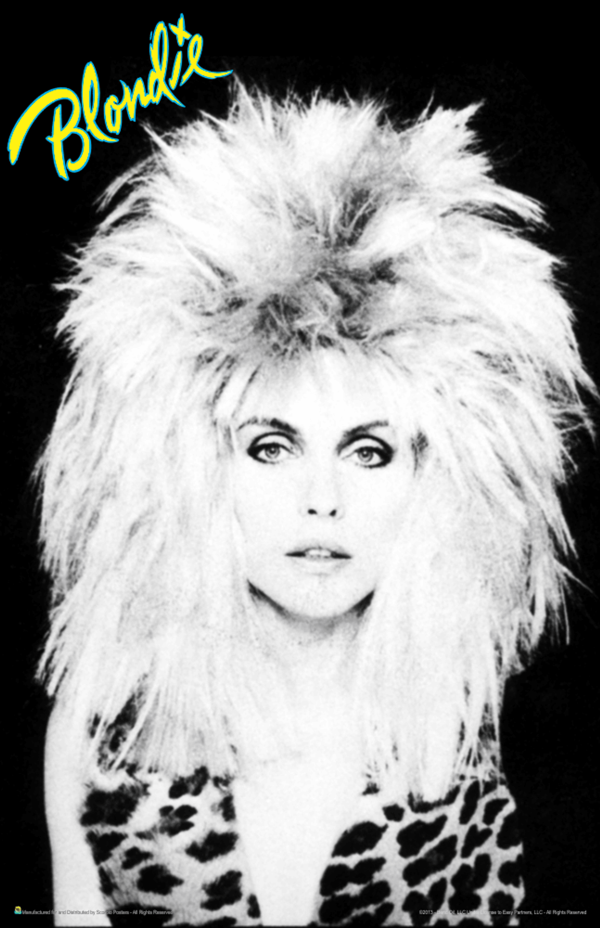 Blondie Black And White Debbie Harry Big Hair With Logo Mini Poster 11 X 17 The Blacklight Zone 