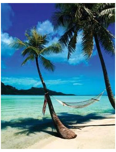 Hammock/Beach - 16 X 20" Poster - The Blacklight Zone