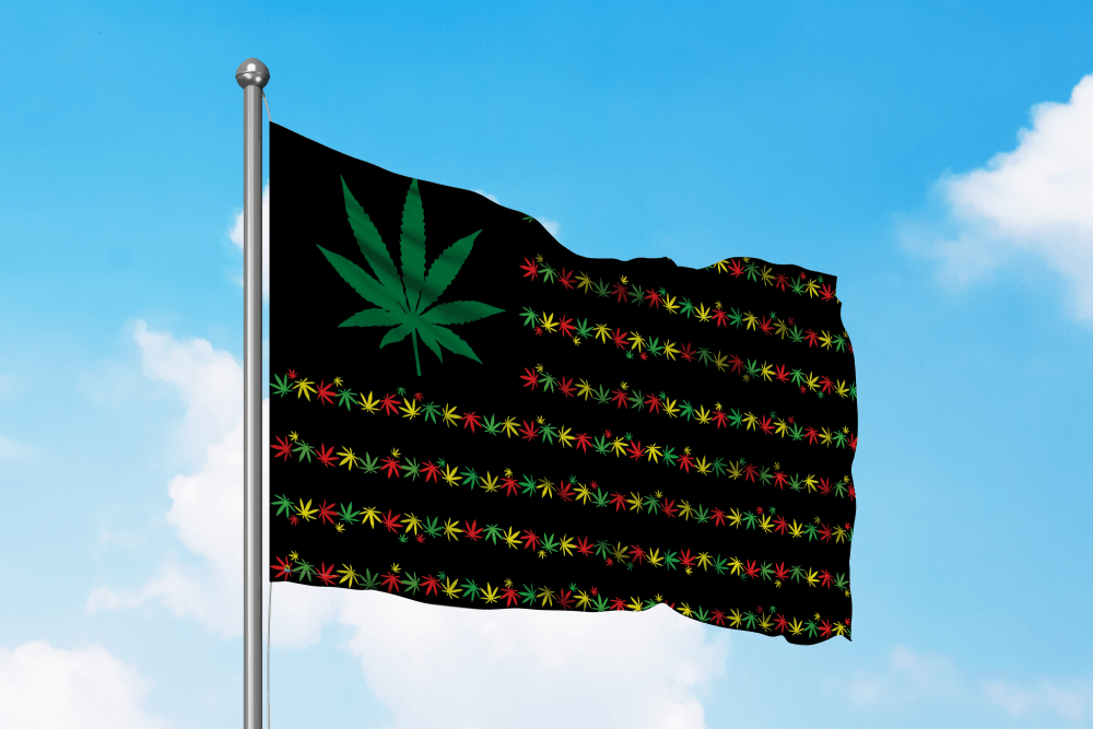 Herbal Rasta USA Fly Flag 3' x 5' - The Blacklight Zone