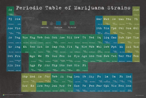 Periodic Table of Marijuana Mini Poster - 17" x 11"